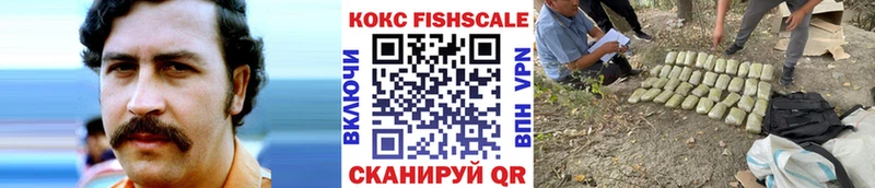 Купить где  Можга  Кокаин FishScale 