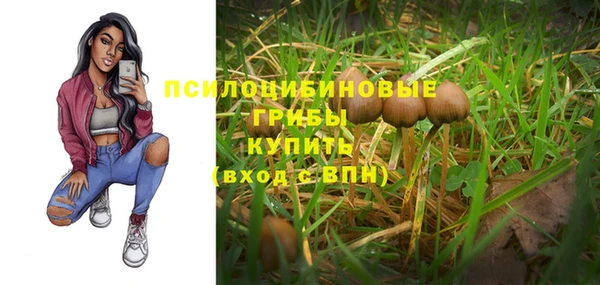 твердый Инсар