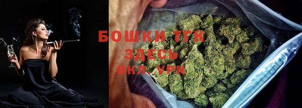 твердый Инсар