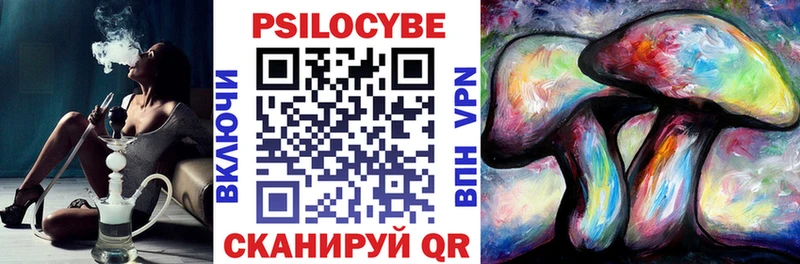 Псилоцибиновые грибы Psilocybine cubensis Можга